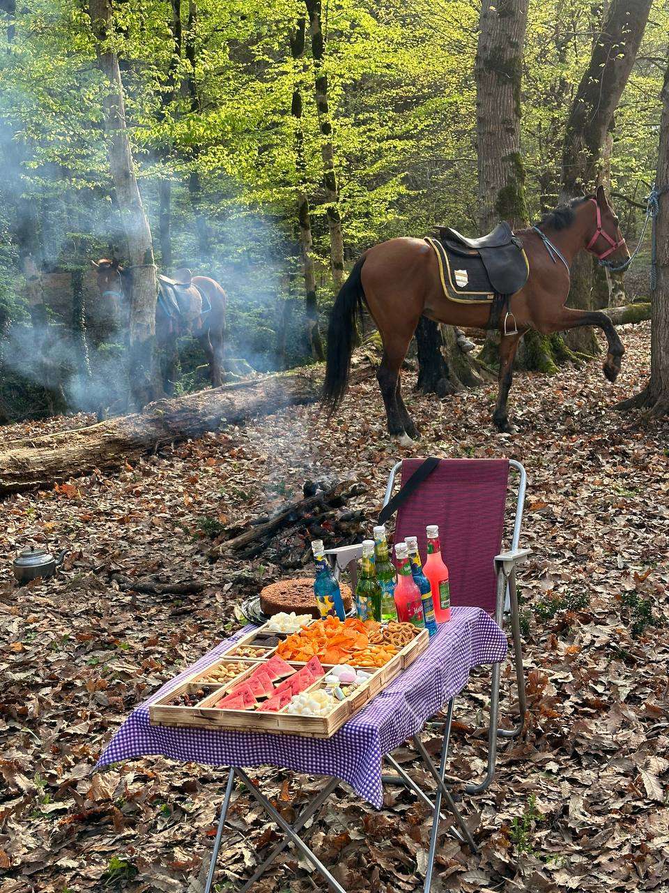 محل استراحت و پذیرایی