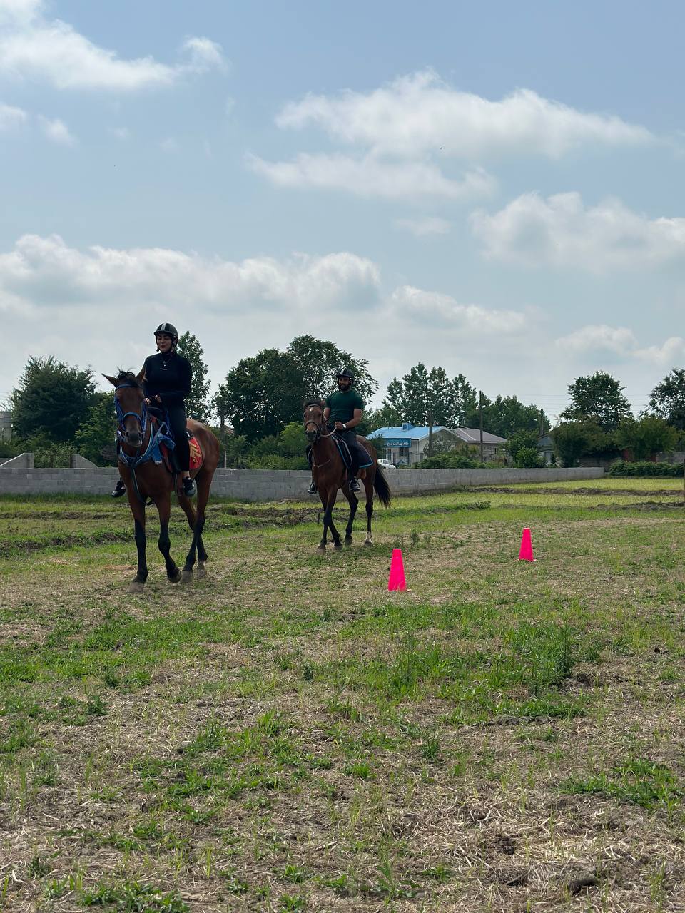 پیست سوارکاری استاندارد