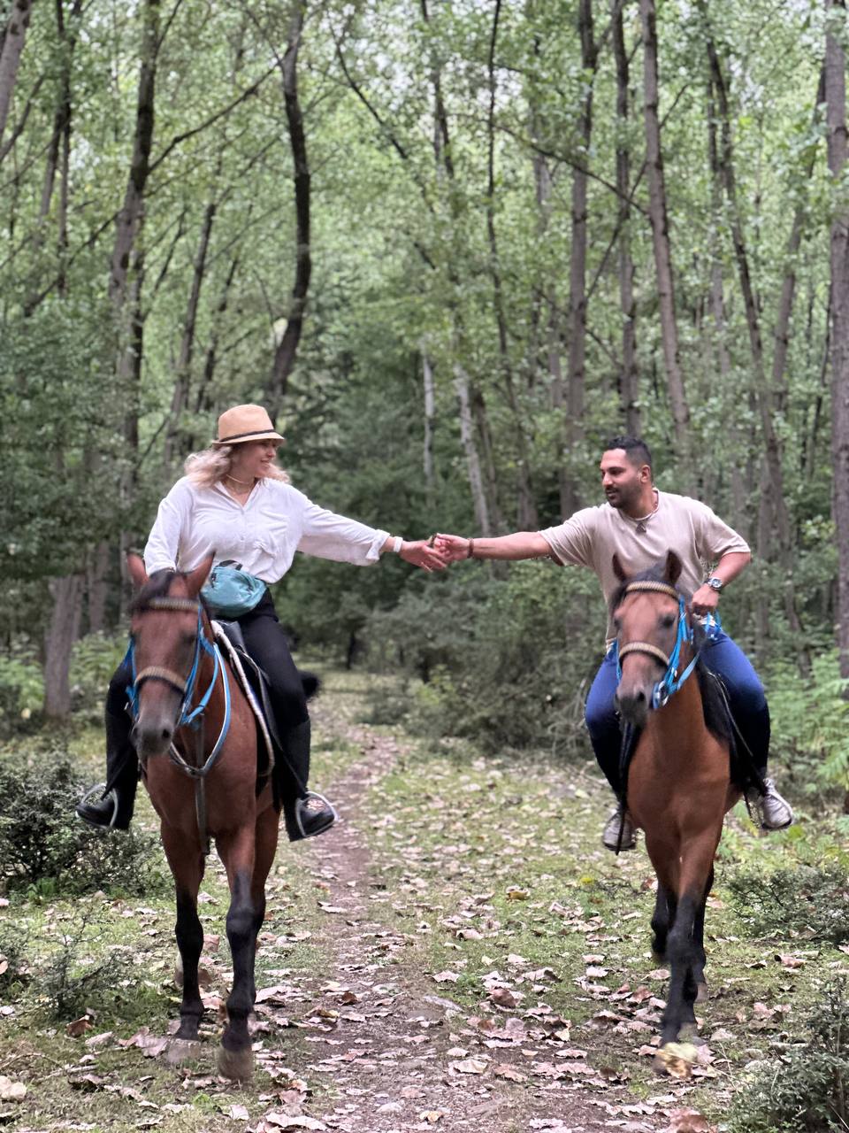 اسب‌های اصیل و آموزش‌دیده