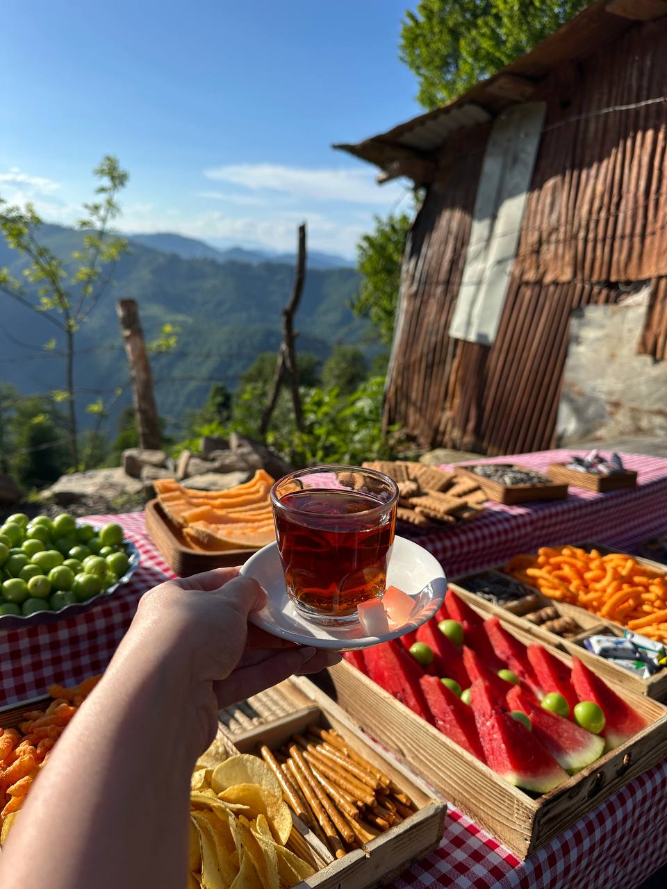 فرصتی برای ارتباط با طبیعت و تفریح خانوادگی