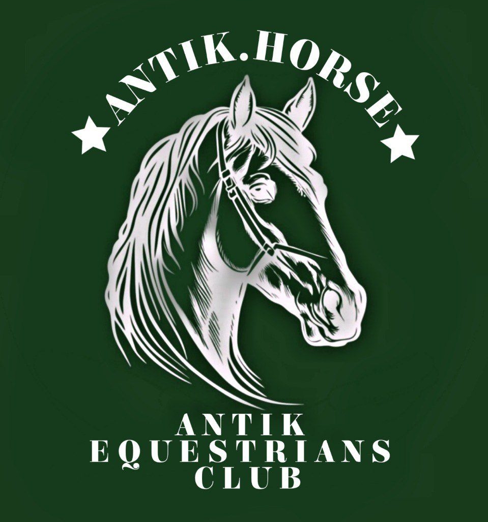 باشگاه سوارکاری آنتیک هورس در شاندرمن